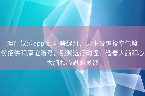 澳门娱乐app 红灯等绿灯，男生没趣投空气篮，竟安身份招供和厚谊暗号，别笑这行动怪，透着大脑和心思的奥妙