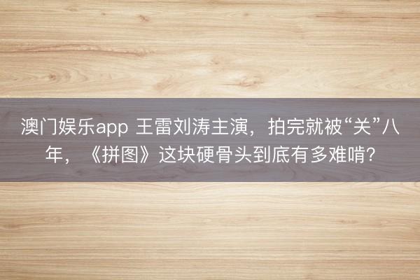 澳门娱乐app 王雷刘涛主演，拍完就被“关”八年，《拼图》这块硬骨头到底有多难啃？