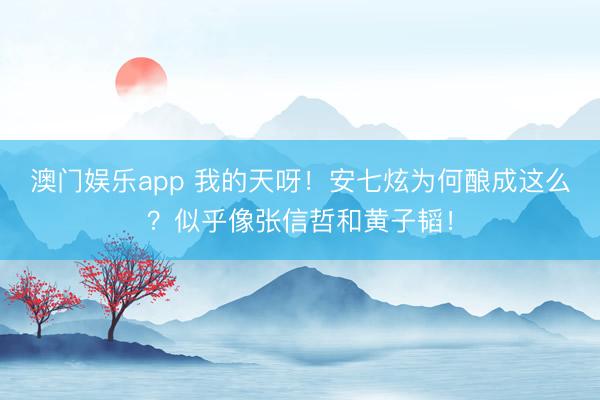 澳门娱乐app 我的天呀！安七炫为何酿成这么？似乎像张信哲和黄子韬！
