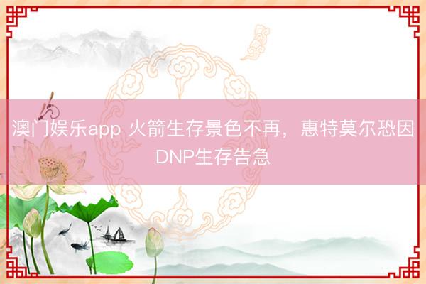 澳门娱乐app 火箭生存景色不再，惠特莫尔恐因DNP生存告急