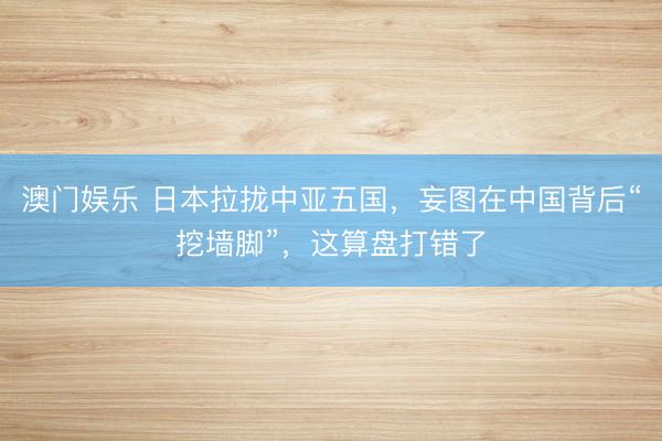 澳门娱乐 日本拉拢中亚五国,妄图在中国背后“挖墙脚”,这算盘打错了