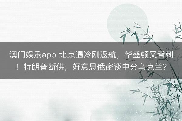 澳门娱乐app 北京遇冷刚返航，华盛顿又背刺！特朗普断供，好意思俄密谈中分乌克兰？