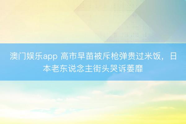 澳门娱乐app 高市早苗被斥枪弹贵过米饭,日本老东说念主街头哭诉萎靡