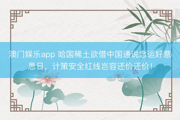 澳门娱乐app 哈国稀土欲借中国通说念运好意思日，计策安全红线岂容还价还价！