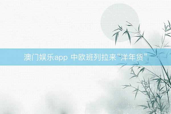 澳门娱乐app 中欧班列拉来“洋年货”