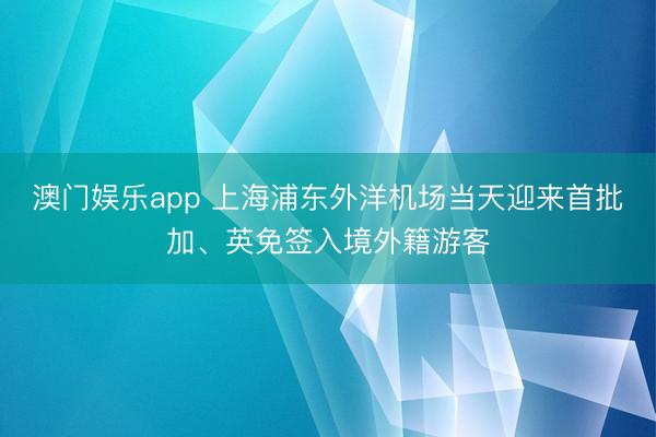 澳门娱乐app 上海浦东外洋机场当天迎来首批加、英免签入境外籍游客