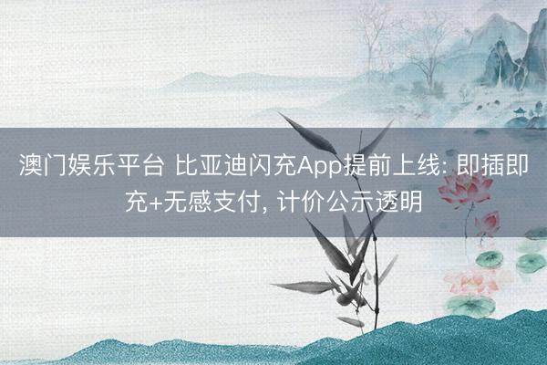 澳门娱乐平台 比亚迪闪充App提前上线: 即插即充+无感支付， 计价公示透明