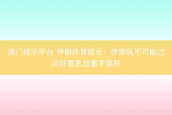 澳门娱乐平台 伊朗体育部长:伊朗队不可能过问好意思加墨宇宙杯