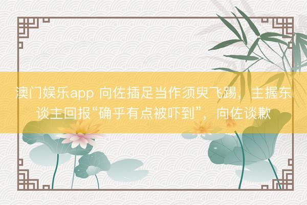 澳门娱乐app 向佐插足当作须臾飞踢，主握东谈主回报“确乎有点被吓到”，向佐谈歉