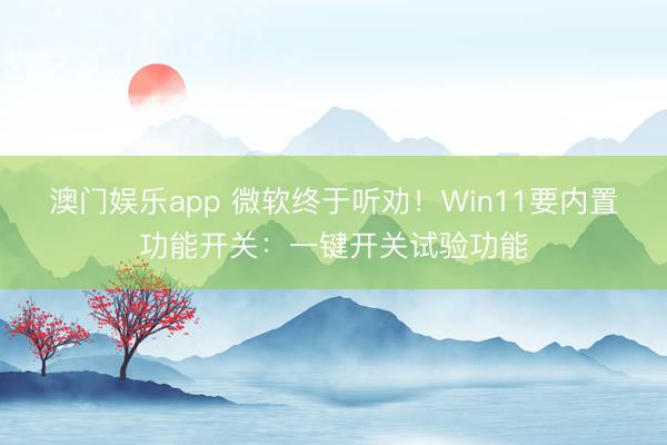 澳门娱乐app 微软终于听劝!Win11要内置功能开关:一键开关试验功能