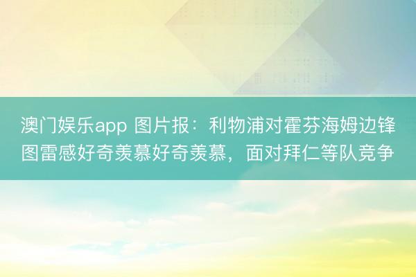 澳门娱乐app 图片报：利物浦对霍芬海姆边锋图雷感好奇羡慕好奇羡慕，面对拜仁等队竞争