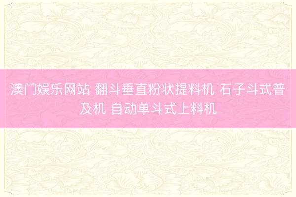 澳门娱乐网站 翻斗垂直粉状提料机 石子斗式普及机 自动单斗式上料机