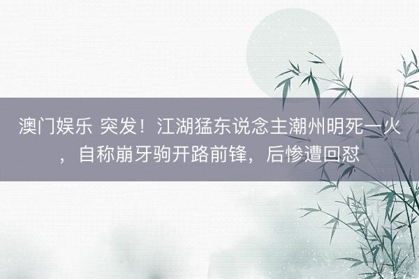 澳门娱乐 突发！江湖猛东说念主潮州明死一火，自称崩牙驹开路前锋，后惨遭回怼