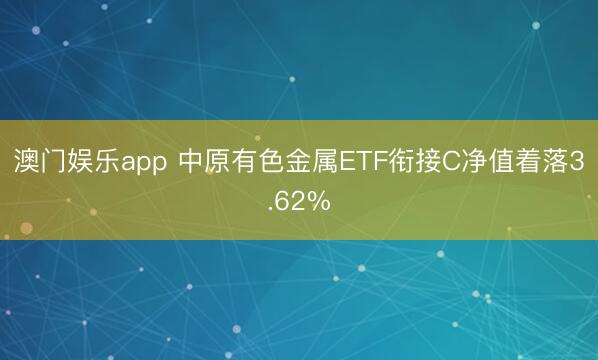 澳门娱乐app 中原有色金属ETF衔接C净值着落3.62%