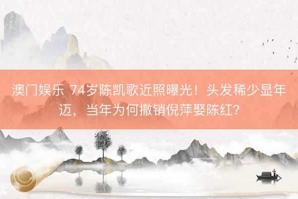 澳门娱乐 74岁陈凯歌近照曝光！头发稀少显年迈，当年为何撤销倪萍娶陈红？