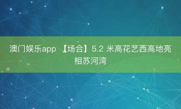 澳门娱乐app 【场合】5.2 米高花艺西高地亮相苏河湾