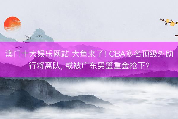 澳门十大娱乐网站 大鱼来了! CBA多名顶级外助行将离队, 或被广东男篮重金抢下?